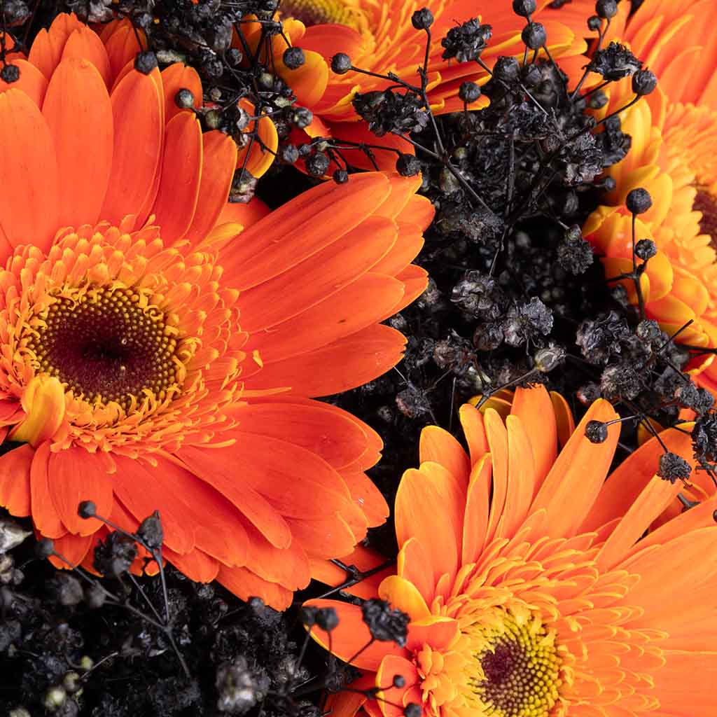 Amber Noir Bouquet
