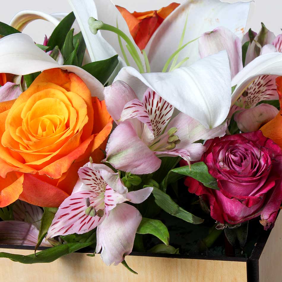 Bright Efflorescence