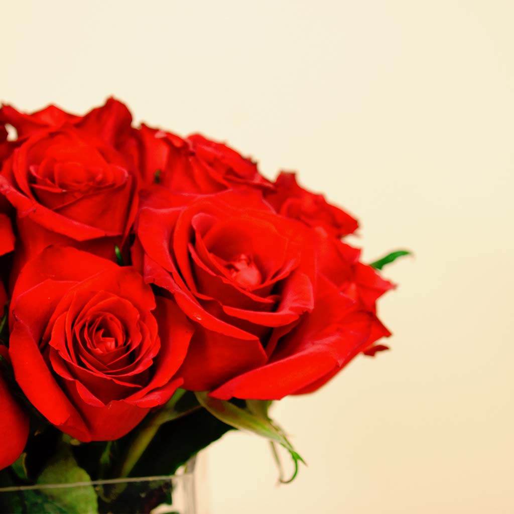 Amaz Elysian Radiance Necklace | Red flower vase