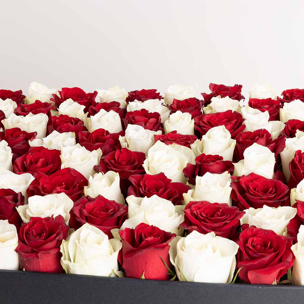 Red White Roses Box