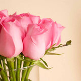 Pink Flower Vase | 15 Rose