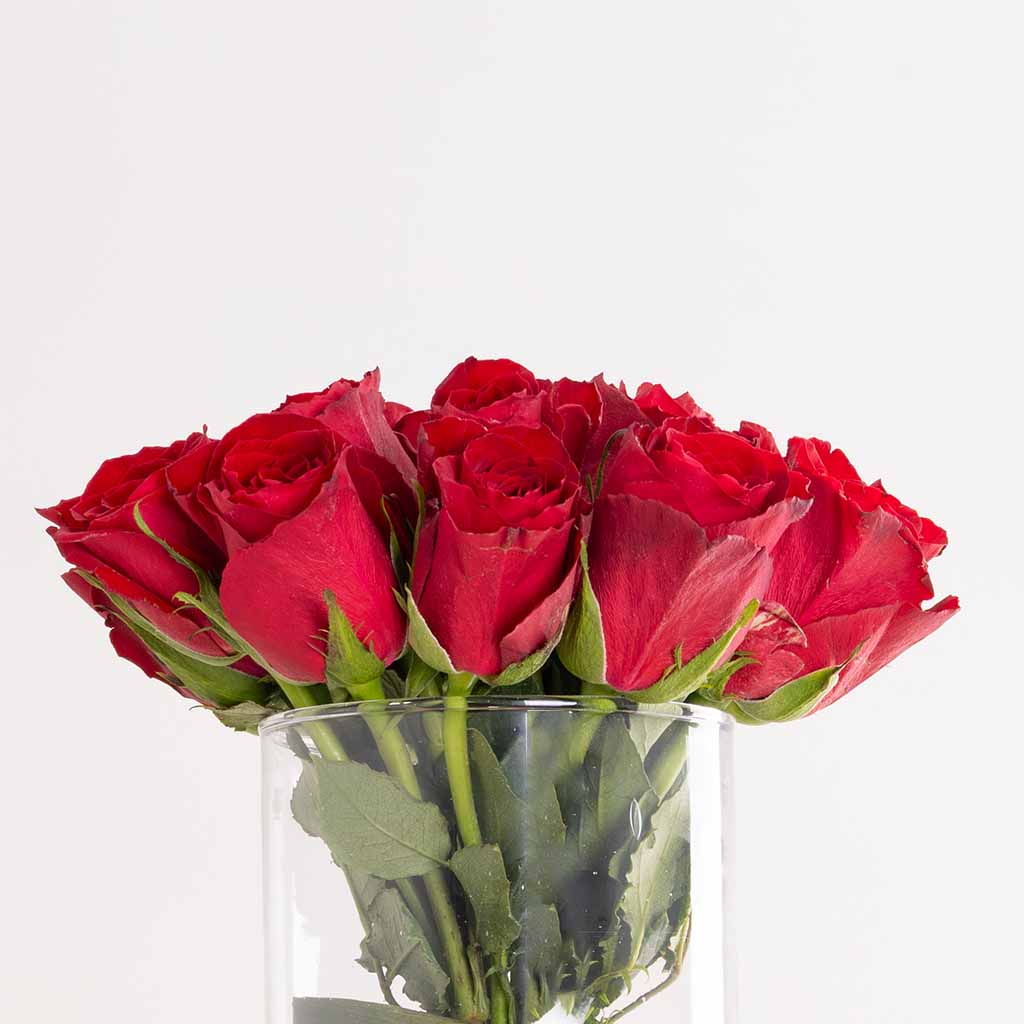Patchi Chocolate Box 500g & Red Roses Vase