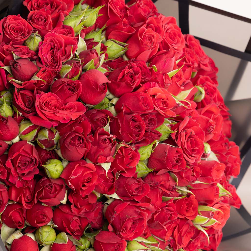Red Baby Roses Bouquet - 30 Roses