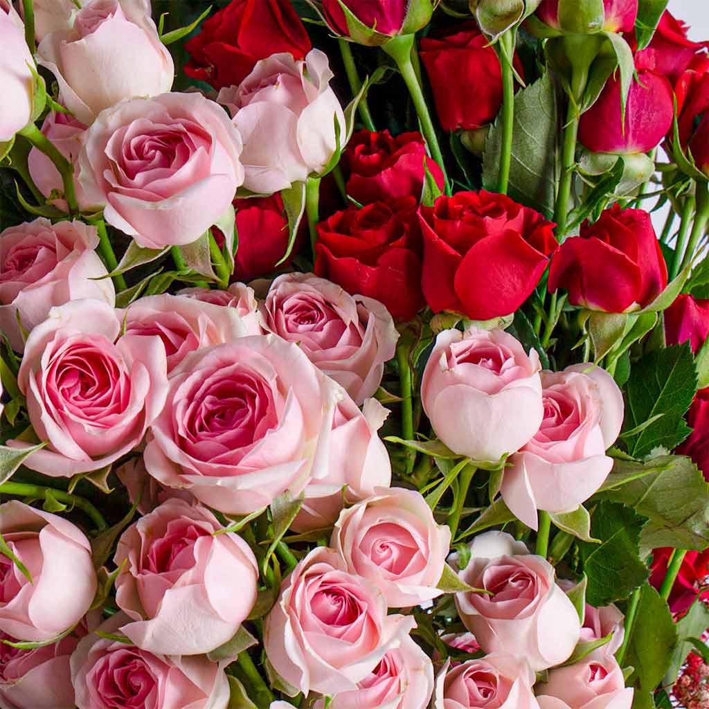 Pink & Red Baby Roses Bouquet