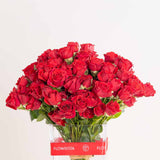 Red Baby Roses Vase - 20 Stems