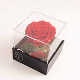 Eternity Rose Box