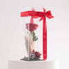 Signature Eternity Rose