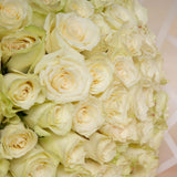 50 white roses