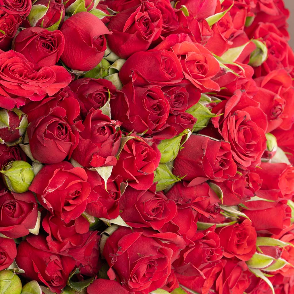 Ramadan Bukhoor Burner& Red Baby Roses Bouquet