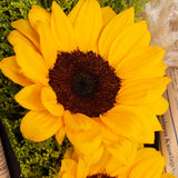 Sunflower Bouquet