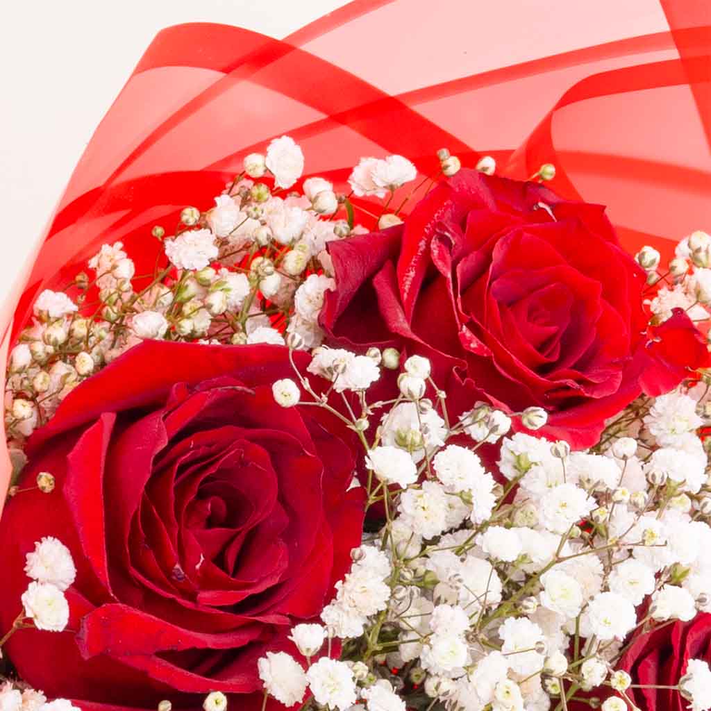 Red Roses & Baby’s Breath Bouquet