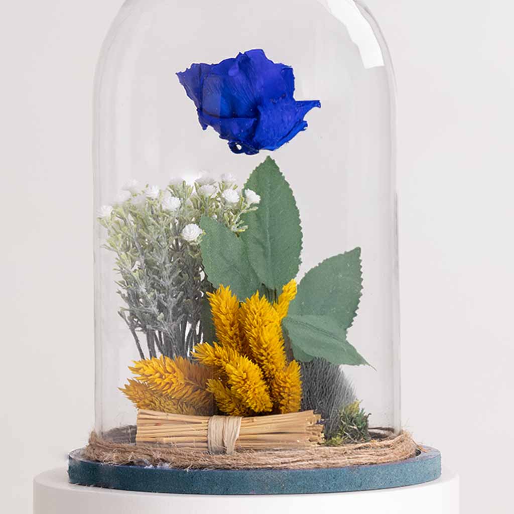 Blue Eternity Rose