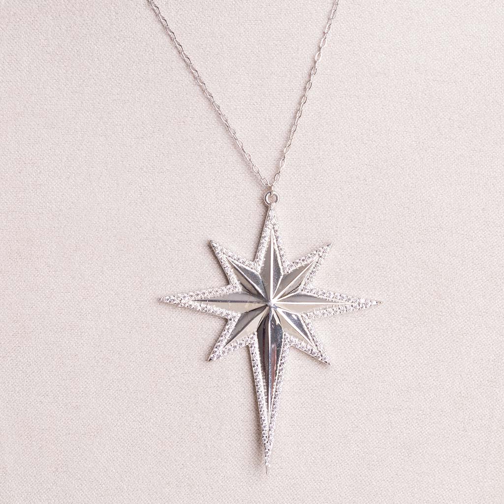 Felizmoda North Star Necklace & Pink Rose Bouquet