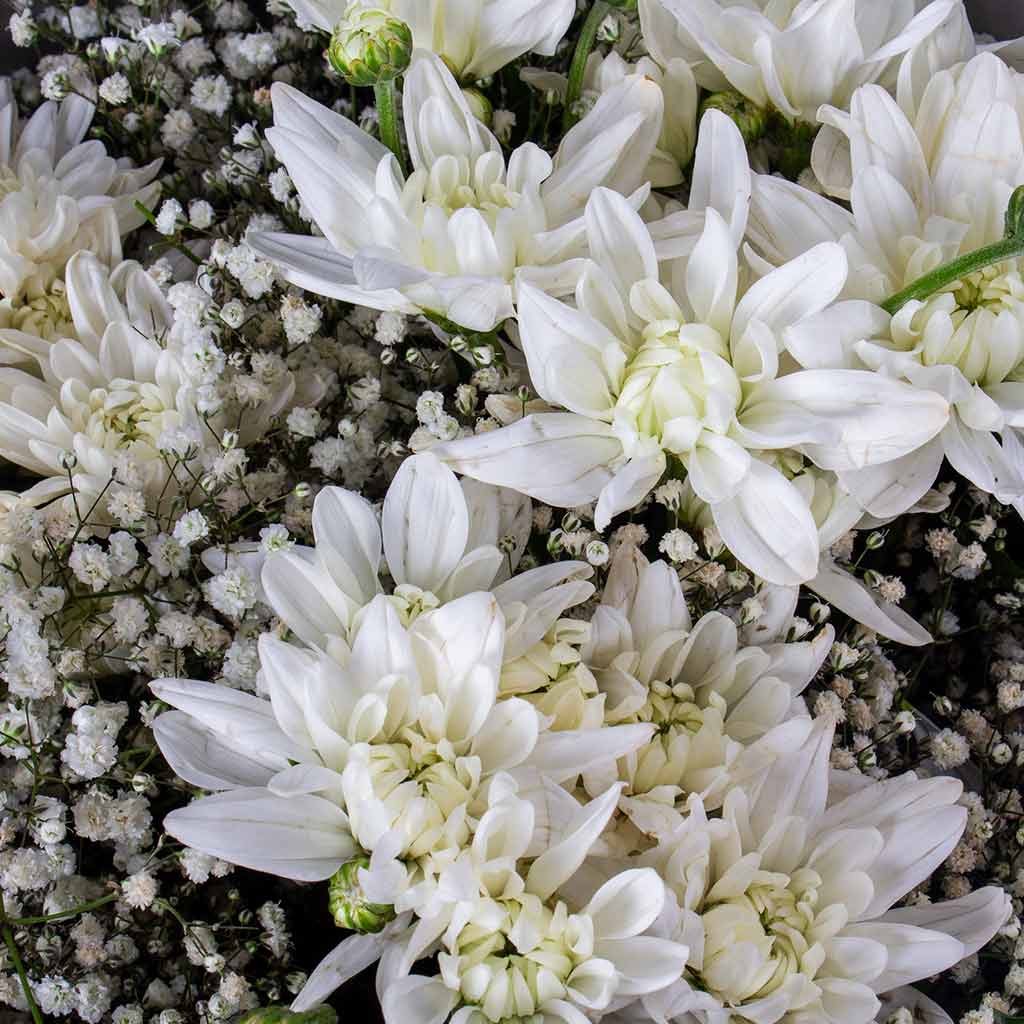 Flowrista | Baby Flower & Chrysanthemum Hand Bouquet