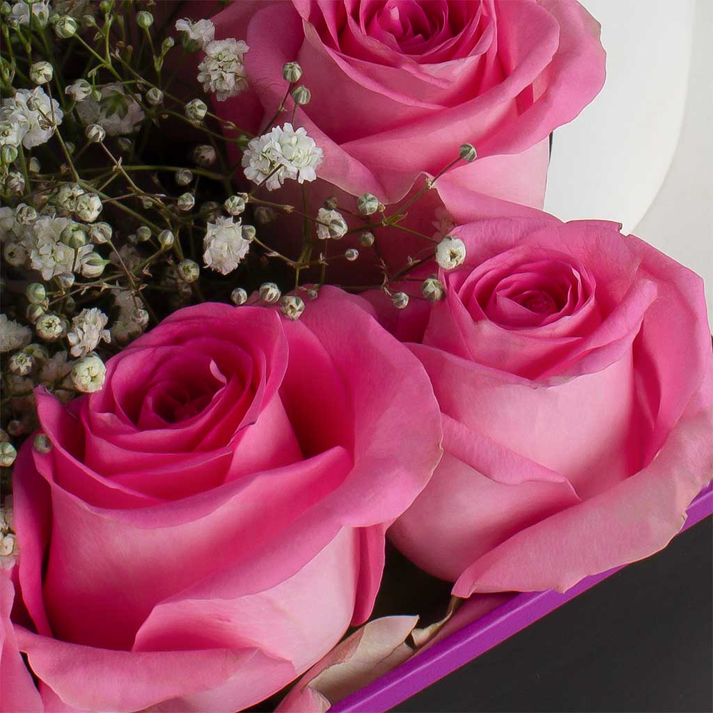 Lazaro Z1 Car Scent Diffuser and 15 pink roses