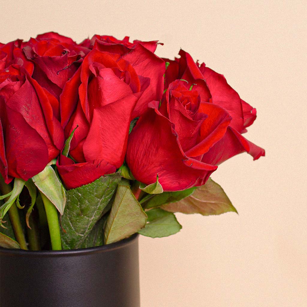 Premium Flower Vase | 20 Red Rose