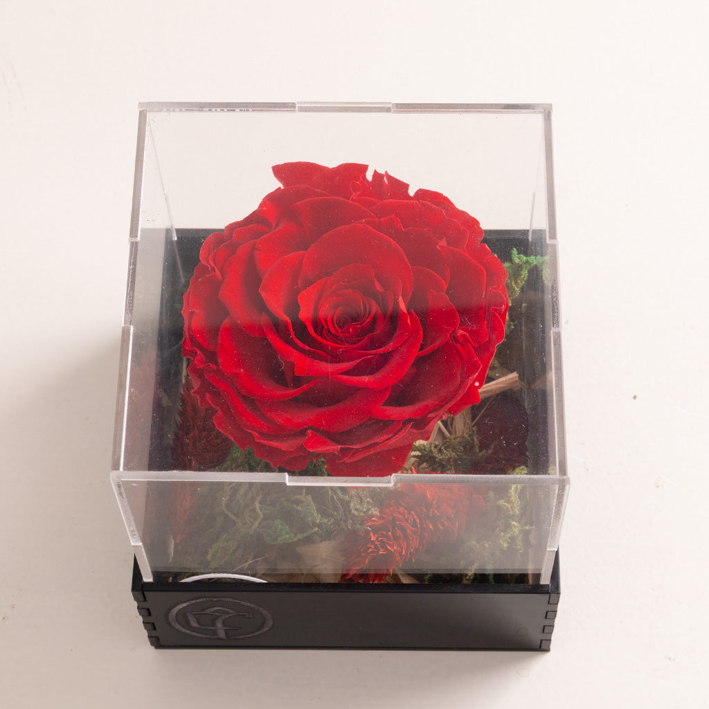 Eternity Rose Box