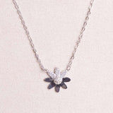 Felizmoda Flower Necklace & Pink Roses Bouquet