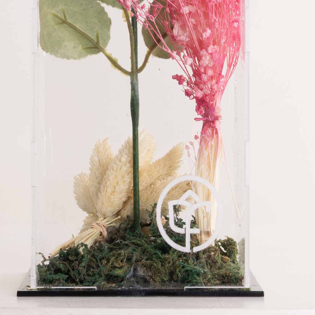 Signature Eternity pink Rose