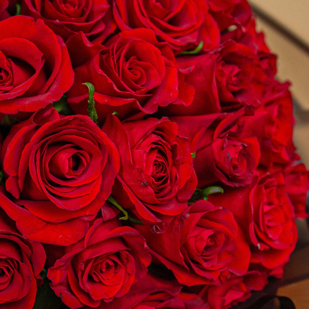 Love Bouquet | 30 Red Rose