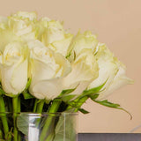 Lazaro Lil Smart Black with White Roses – Luxury Gift Set