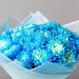 Blue Chrysanthemum