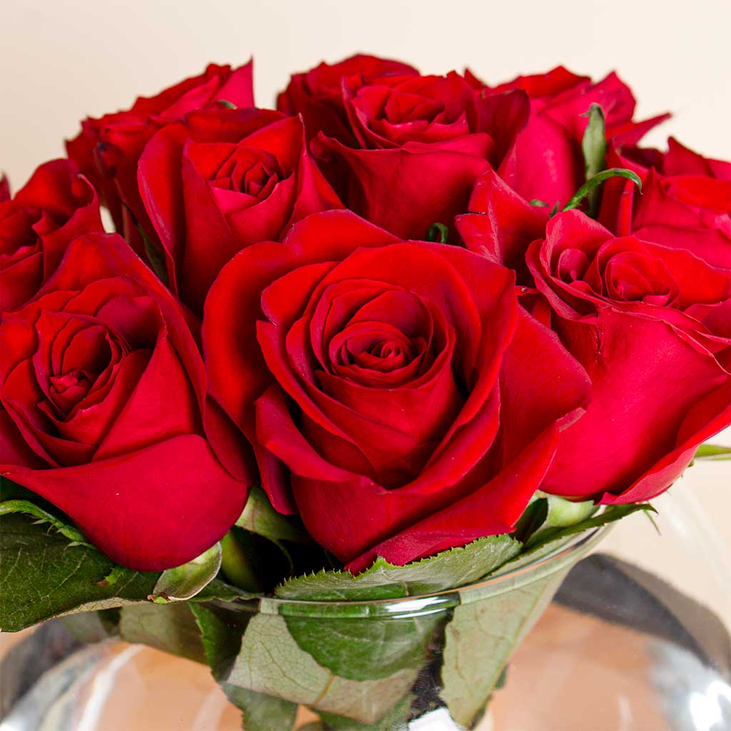 Nuit Fragrances Monroe | Red Rose Vase