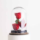 Double Red Eternity Rose