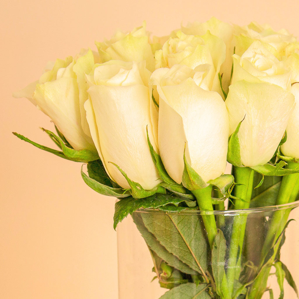 Versace Crystal Noir with White Roses Vase 15 Roses