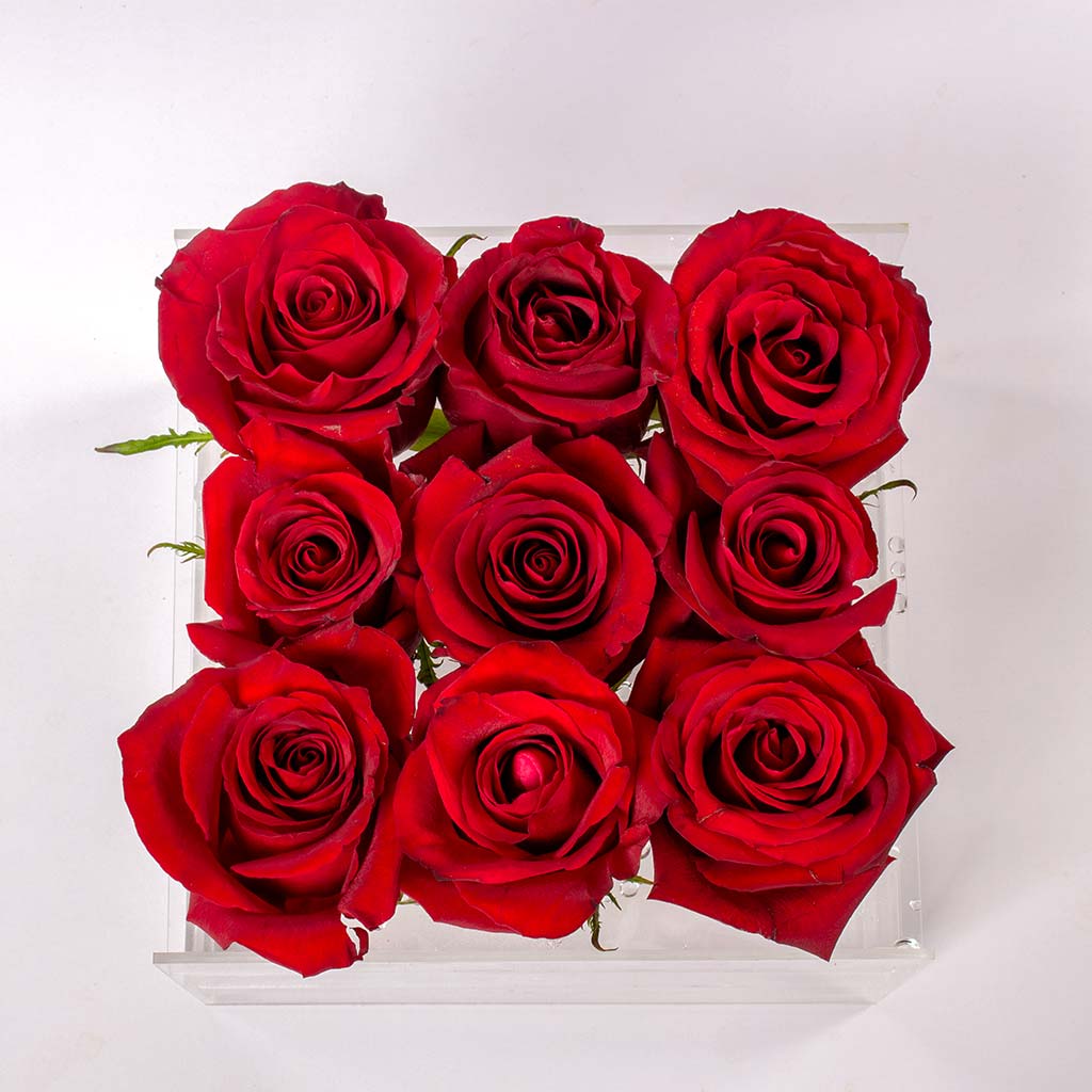 Red clear