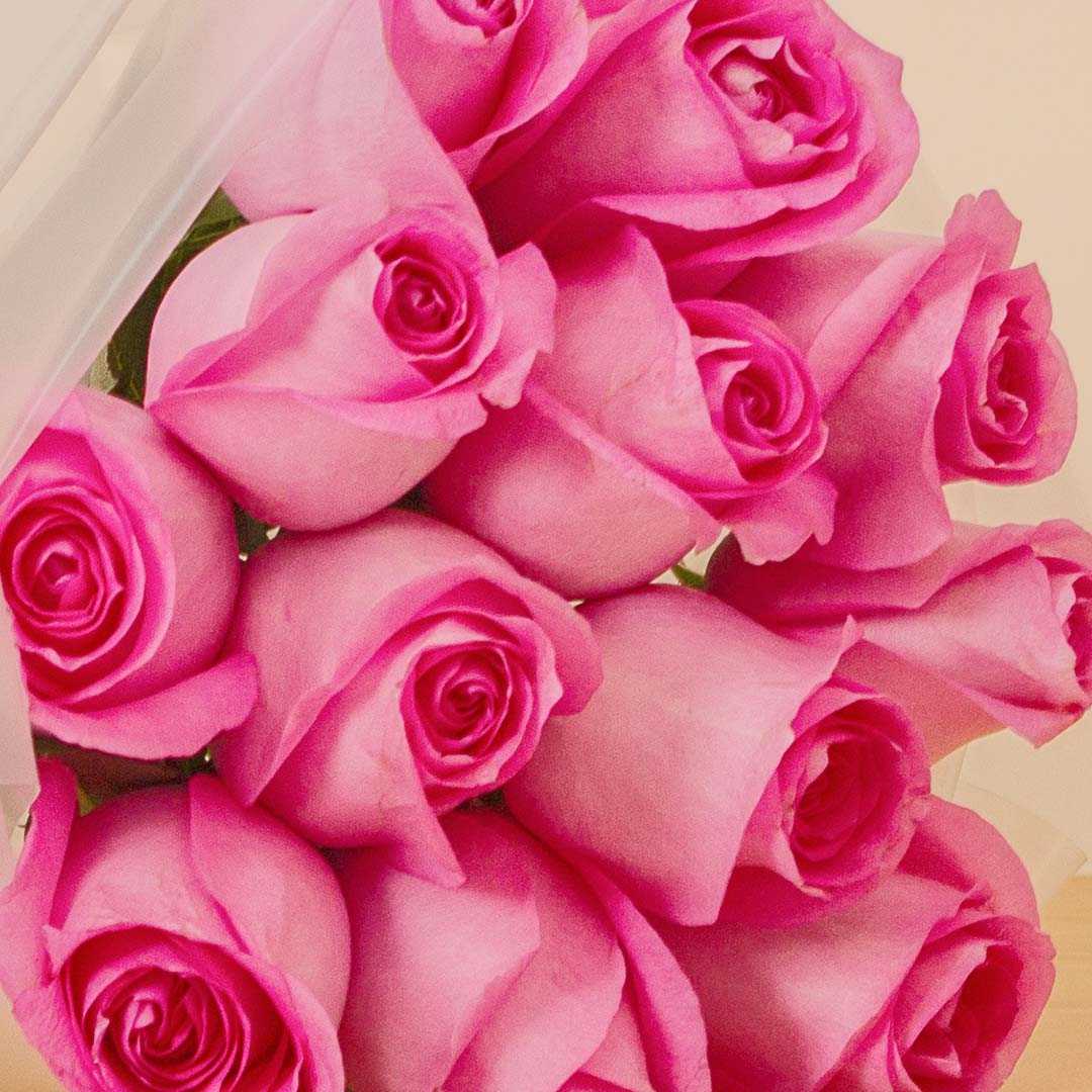 Elegant Pink Rose Bouquet