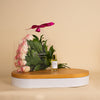 Nuit Fragrances Linda Noche | Pink & White Flower Bag