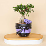 Versatile Decor Piece: Pottery Pot Vase for Luxury Interiors