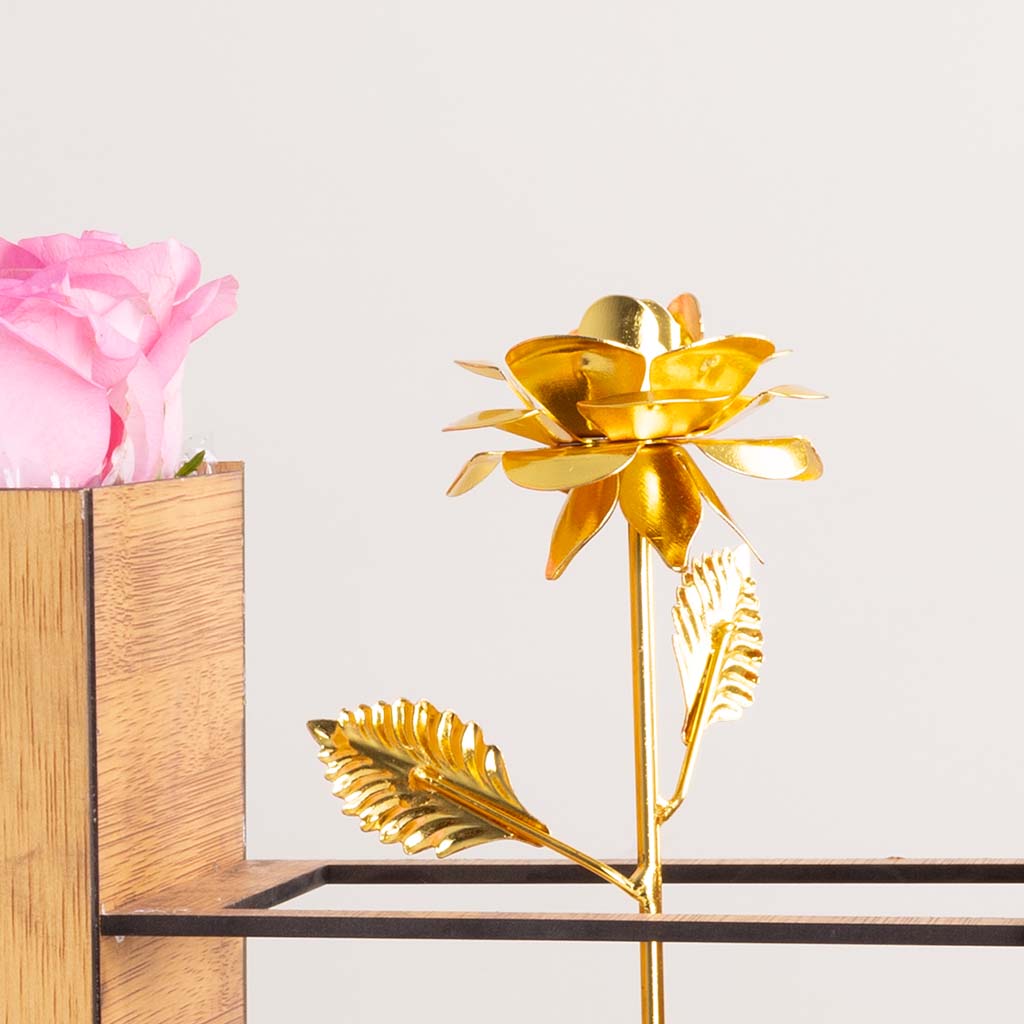 Golden Tenderness Box