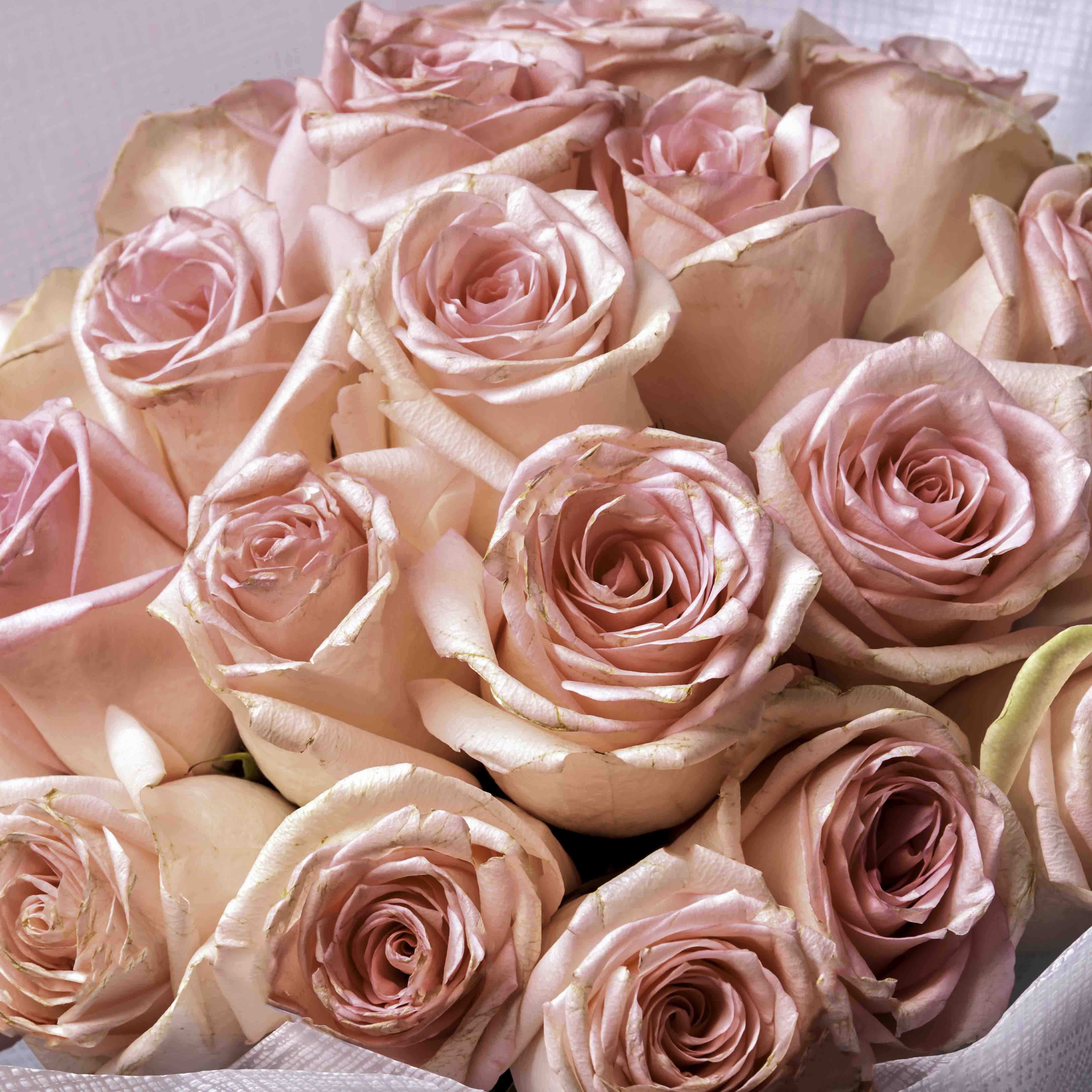 Enchanting Rose Bouquet