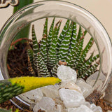 Desert Bloom Vase