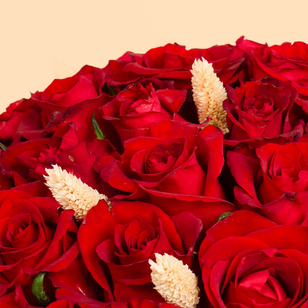 Royal Red Rose Box