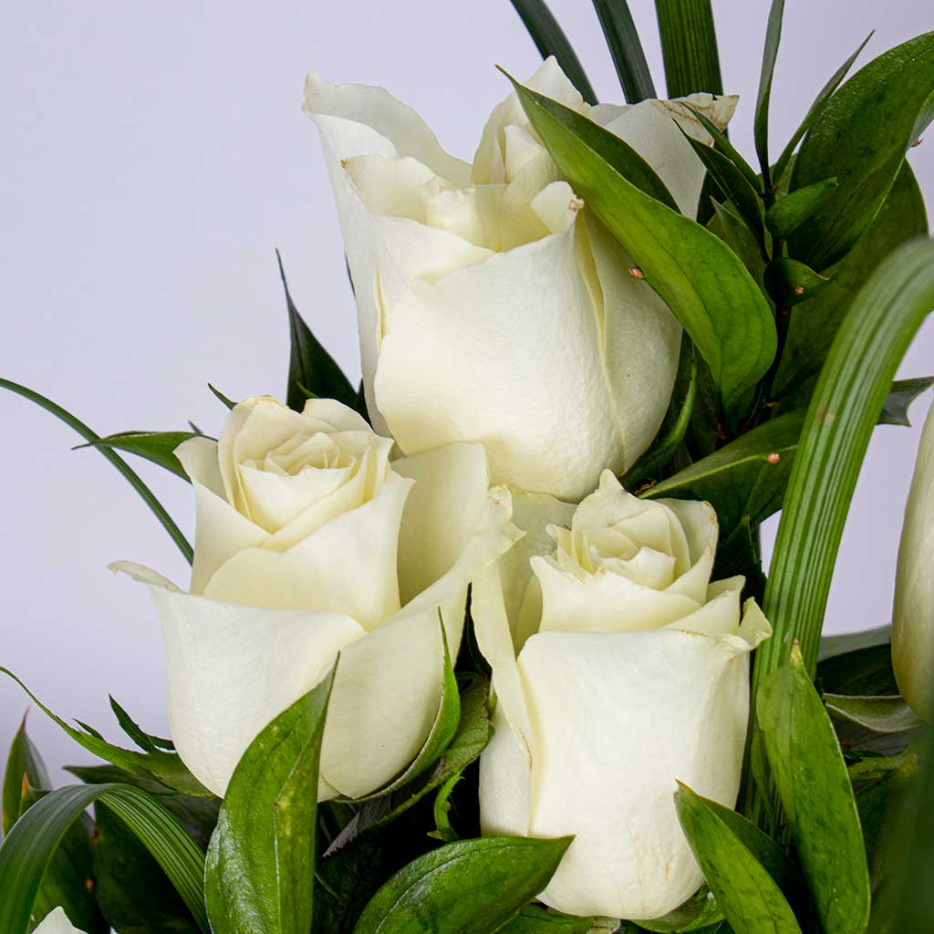 Levai & Loris Bohemian Rhapsody Cap with White Roses Vase