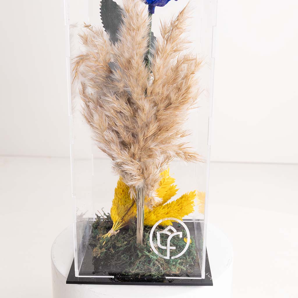 Blue Eternity Rose
