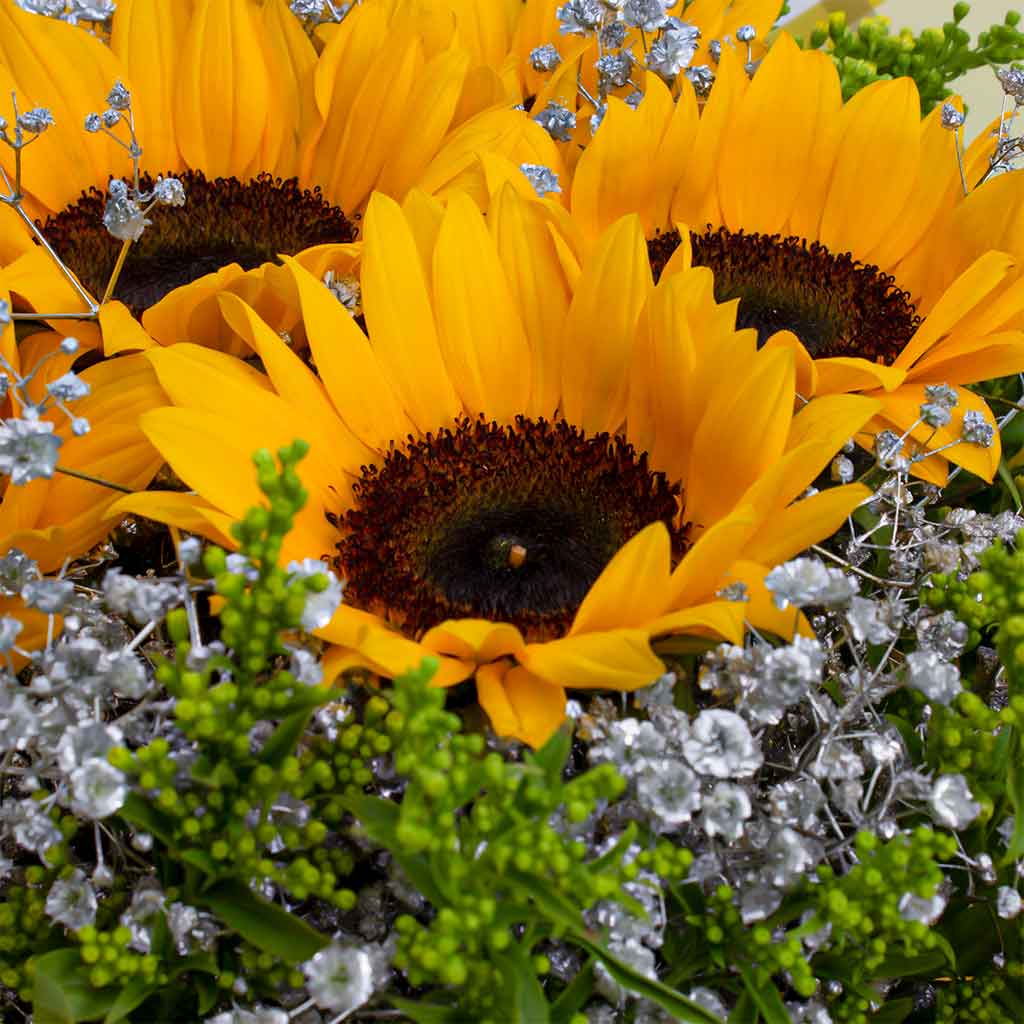 Dazzling Sunflower Bouquet