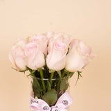 Veloor Sūkoon Scarf & Pink Roses Vase