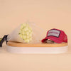 Levai Loris Cotton Candy unisex cap | White Roses Bouquet