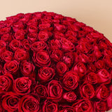 Flowrista | 250 Red Roses Grand Bouquet