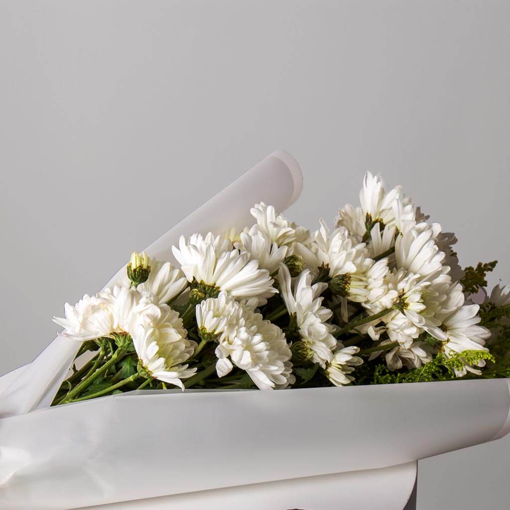 Markiz Rhodium Opal Necklace & 10 White Chrysanthemum Bouquet