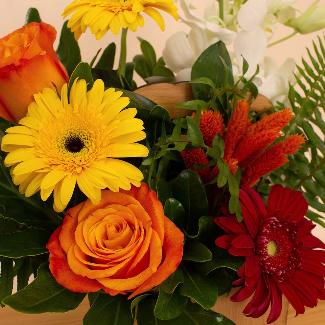 Flowrista | Vibrant Roses & Gerbera Flower Box
