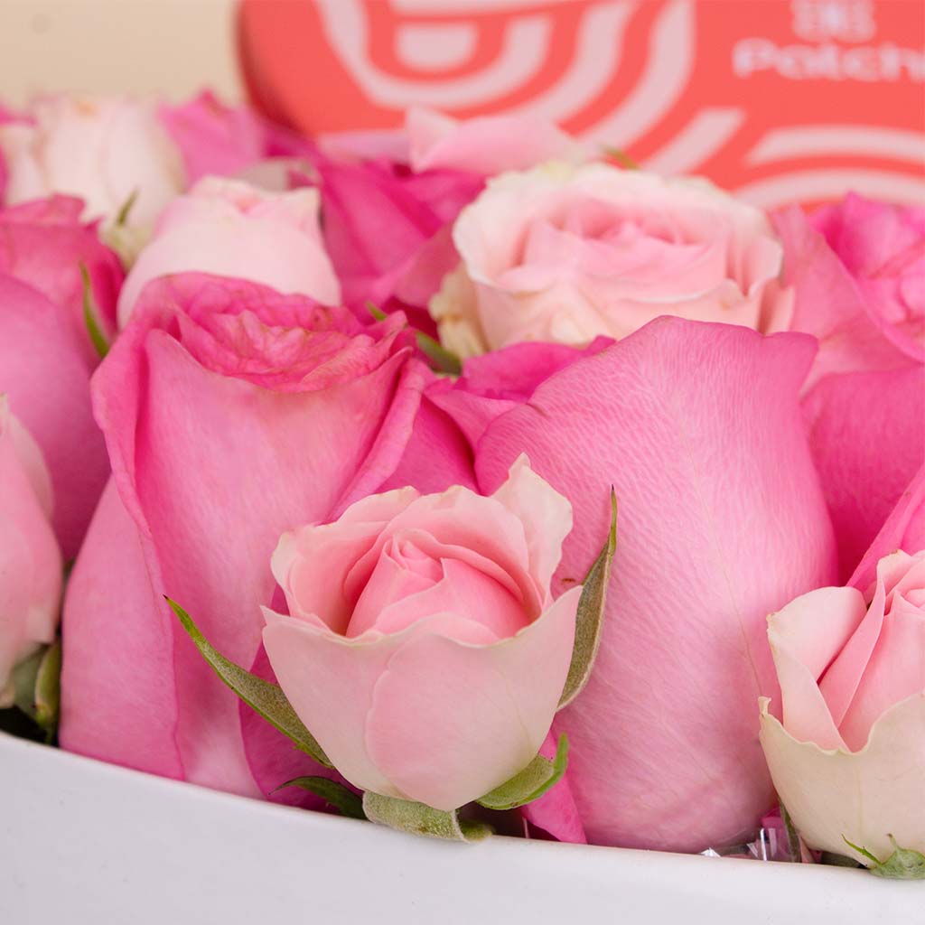 Blush Heart Bloom Box - Revival Roses & Patchi Heart Box 22 pcs