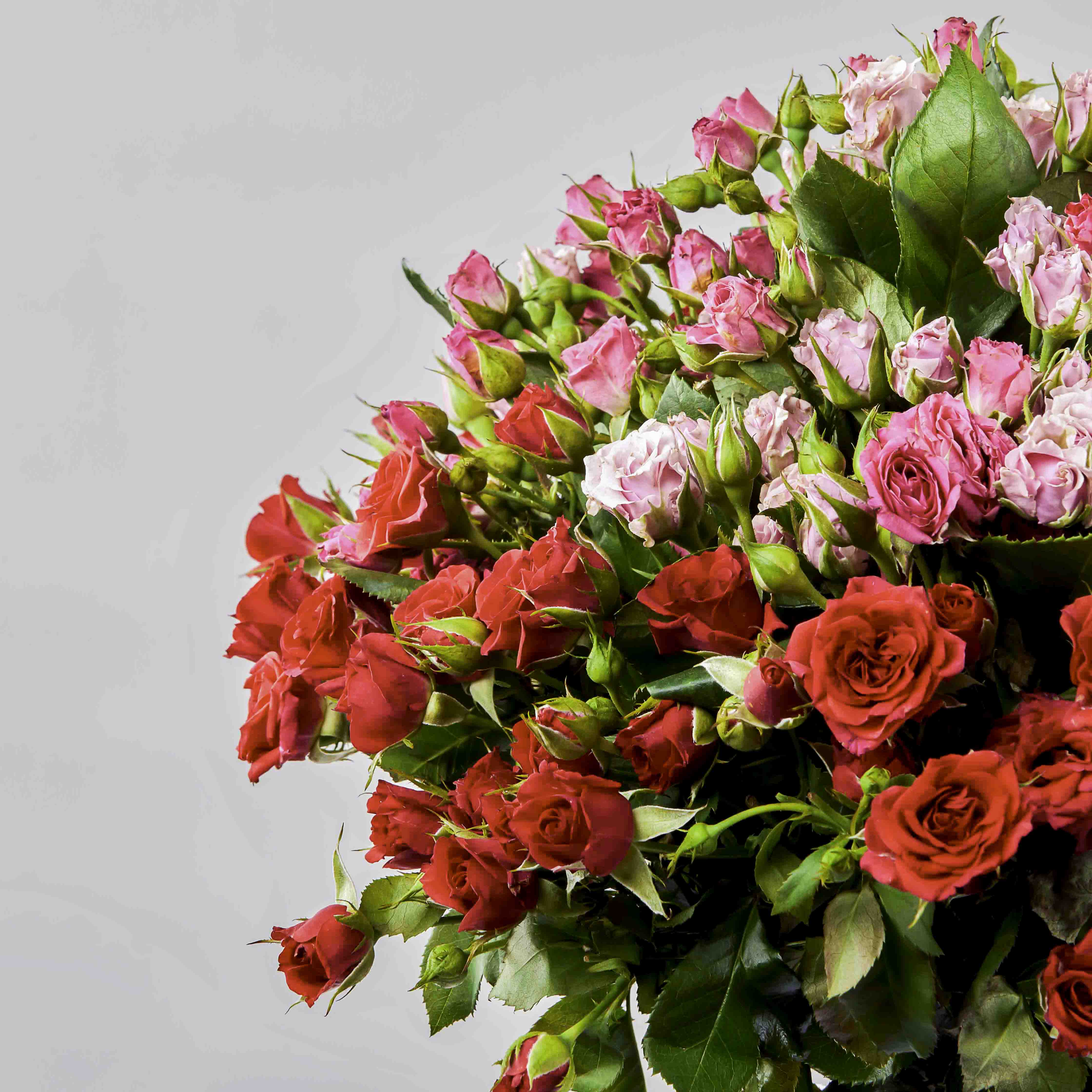 Flowrista | Pink & Red Baby Roses Bouquet