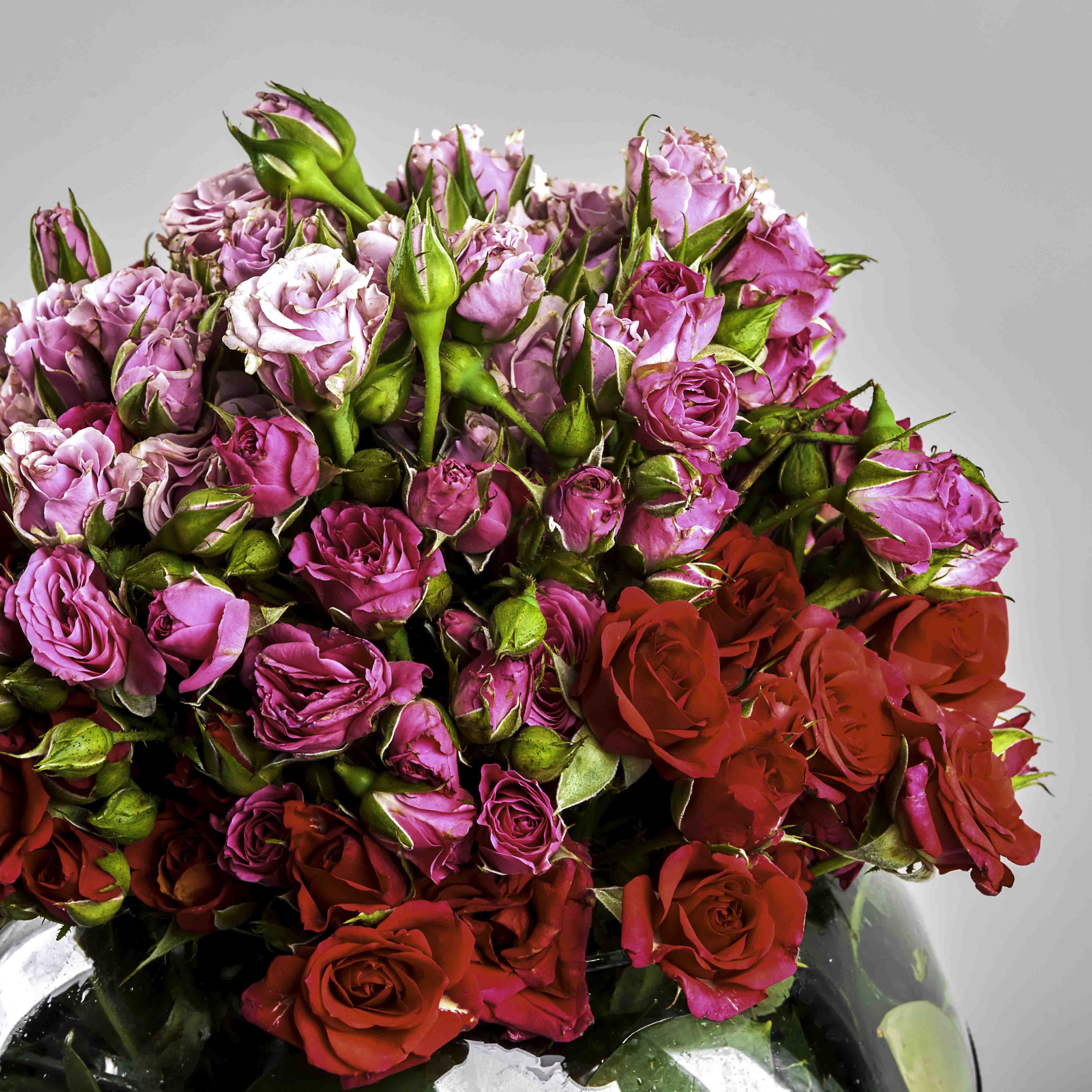 Shades of Love Vase