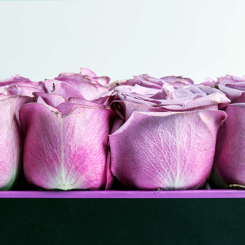 Box of Purple Roses