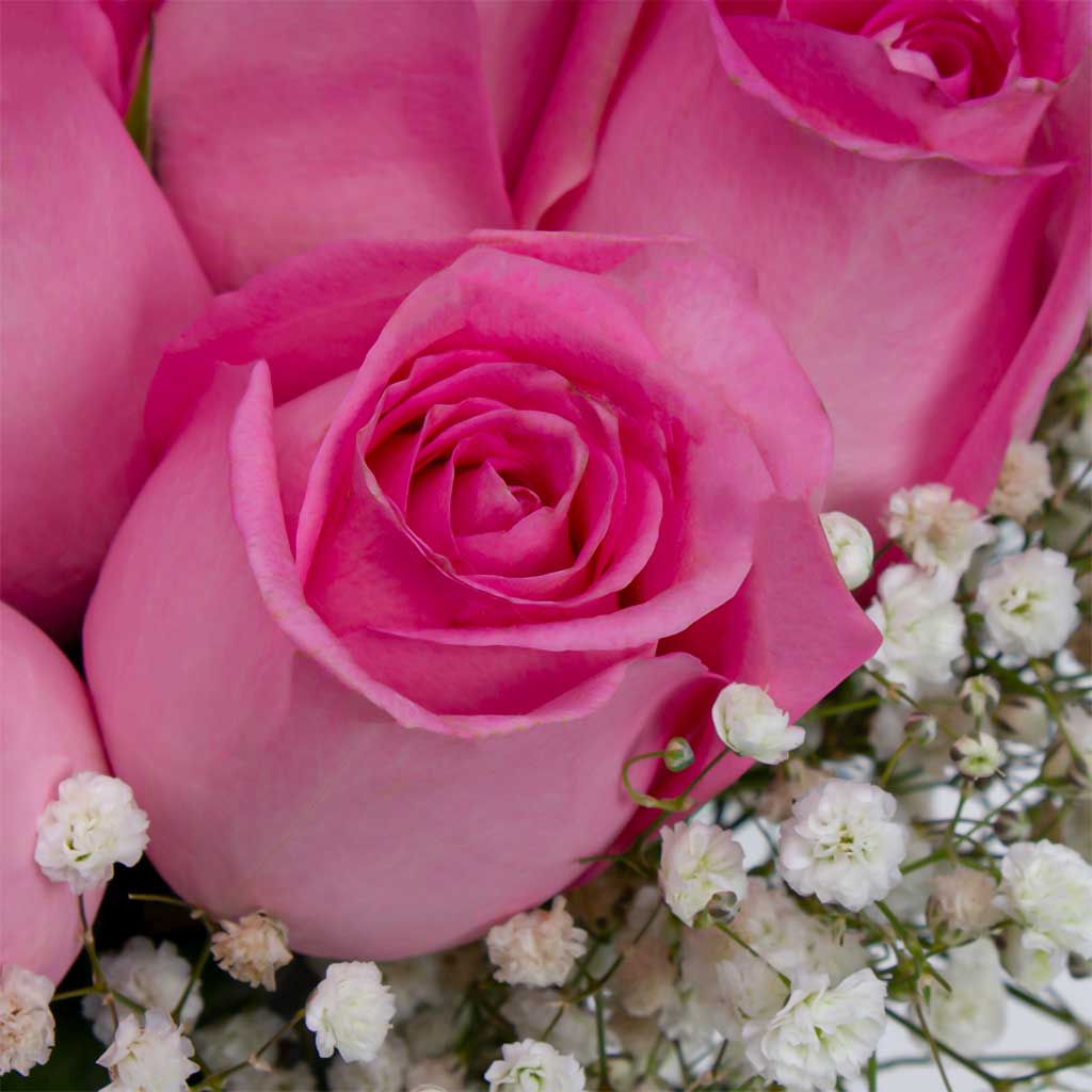 Pink Roses Vase & Zadna Assorted Dates